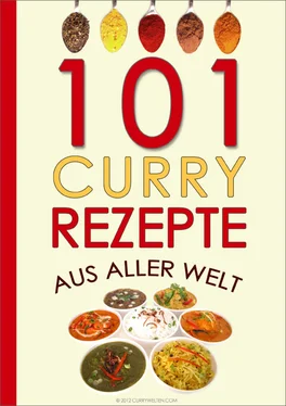 Currywelten .Com 101 Curry-Rezepte aus aller Welt обложка книги