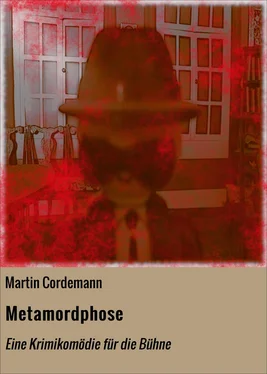 Martin Cordemann Metamordphose обложка книги