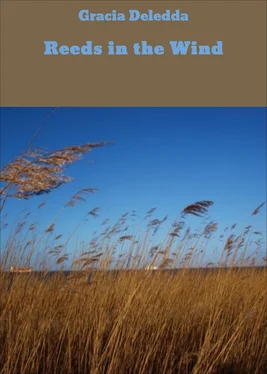 Gracia Deledda Reeds in the Wind обложка книги