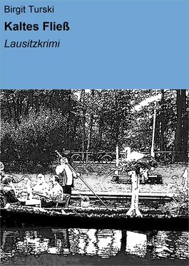 Birgit Turski Kaltes Fließ обложка книги