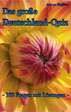 Alina Steffen Das große Deutschland-Quiz обложка книги