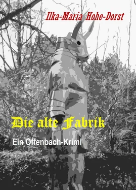 Ilka-Maria Hohe-Dorst Die alte Fabrik обложка книги