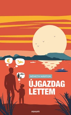 Németh Márton Újgazdag lettem обложка книги