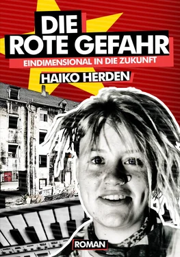 Haiko Herden Die Rote Gefahr обложка книги