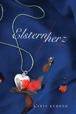 Karin Kehrer Elsternherz обложка книги