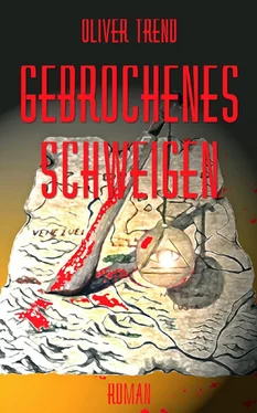 Oliver Trend Gebrochenes Schweigen обложка книги