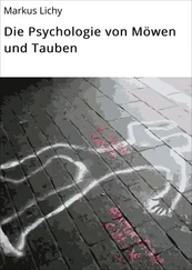 Markus Lichy - Die Psychologie von Möwen und Tauben