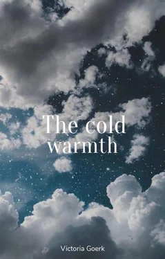 Victoria Goerk The cold warmth обложка книги