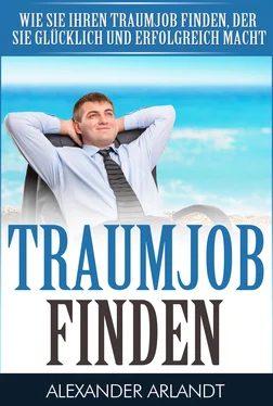 Alexander Arlandt TRAUMJOB FINDEN обложка книги