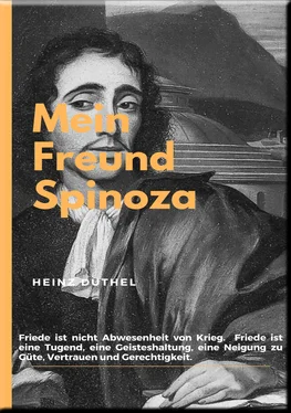 Heinz Duthel MEIN FREUND SPINOZA обложка книги