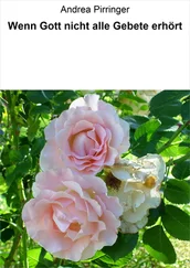Andrea Pirringer - Wenn Gott nicht alle Gebete erhört
