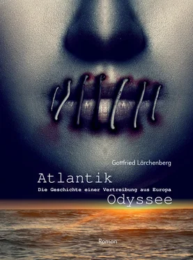 Gottfried Lärchenberg Atlantik-Odyssee обложка книги