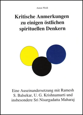 Anton Weiß Kritische Anmerkungen zu spirituellen Denkern обложка книги