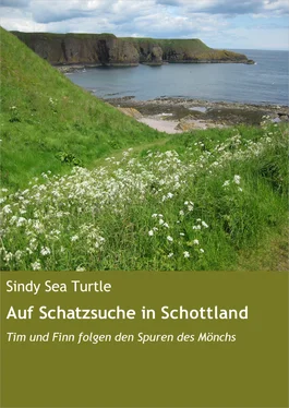 Sindy Sea Turtle Auf Schatzsuche in Schottland обложка книги