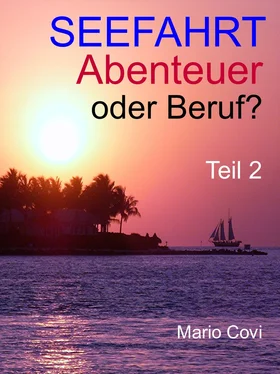 Mario Covi Seefahrt - Abenteuer oder Beruf? - Teil 2 обложка книги