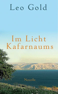 Leo Gold Im Licht Kafarnaums обложка книги