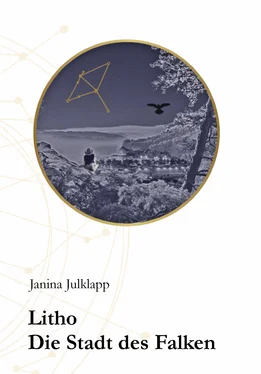 Janina Julklapp Litho обложка книги