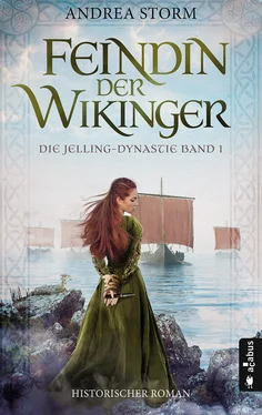 Andrea Storm Feindin der Wikinger. Die Jelling-Dynastie. Band 1 обложка книги