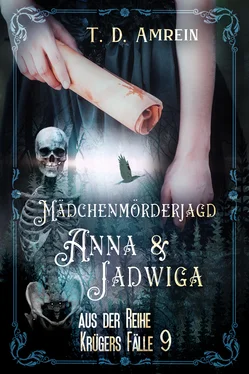 T. D. Amrein Anna und Jadwiga обложка книги