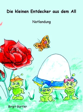Birgit Gürtler Die kleinen Entdecker aus dem All обложка книги