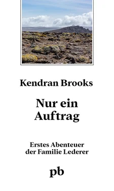Kendran Brooks Nur ein Auftrag обложка книги