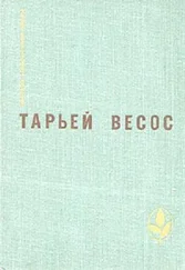 Тарьей Весос - Великая игра. Птицы. Ледяной замок. Рассказы