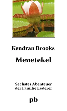 Kendran Brooks Menetekel обложка книги