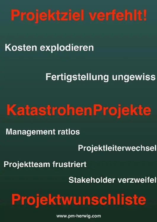 Hinweise Ein KatastrophenProjekt ist eine ProjektKatastrophe Das - фото 1