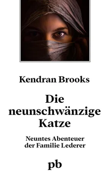 Kendran Brooks Die neunschwänzige Katze обложка книги
