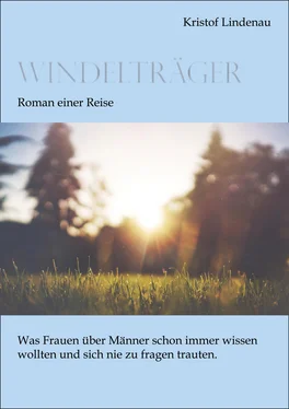 Kristof Lindenau Windelträger - Roman einer Reise обложка книги