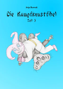 Antje Blumrodt Die Kampfkunstfibel 3 обложка книги