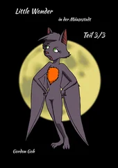 Gordon Goh - Little Wonder