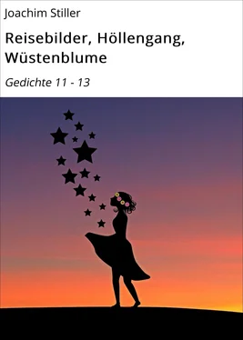 Joachim Stiller Reisebilder, Höllengang, Wüstenblume обложка книги
