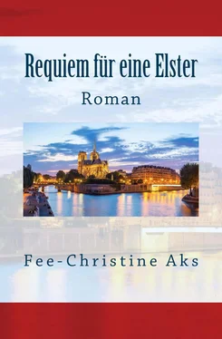 Fee-Christine Aks Requiem für eine Elster обложка книги