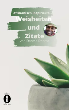 Dantse Dantse afrikanisch inspirierte WEISHEITEN UND ZITATE обложка книги