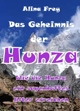 Alina Frey Das Geheimnis der Hunza обложка книги