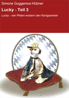 Simone Guggemos-Hübner Lucky - Teil 3 обложка книги