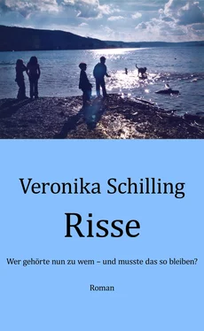 Veronika Schilling Risse обложка книги