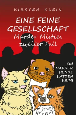 Kirsten Klein Eine feine Gesellschaft – Marder Misties zweiter Fall обложка книги