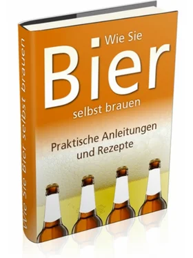 Sepp Müller Bier selber brauen auf 149 Seiten обложка книги