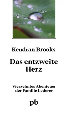 Kendran Brooks Das entzweite Herz обложка книги
