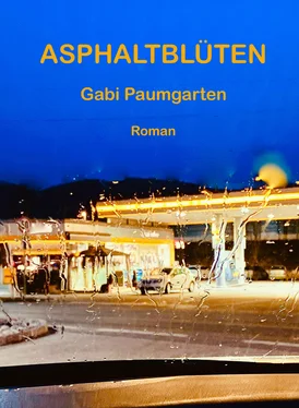 Gabi Paumgarten Asphaltblüten обложка книги