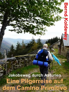 Bernd Koldewey Eine Pilgerreise auf dem Camino Primitivo обложка книги