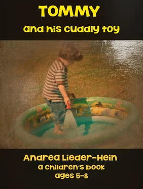 Andrea Lieder-Hein Tommy and his cuddly toy обложка книги