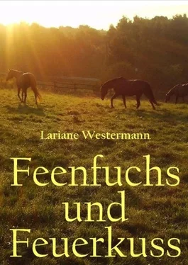 Lara Kalenborn Feenfuchs und Feuerkuss обложка книги