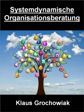 Klaus Grochowiak Systemdynamische Organisationsberatung обложка книги