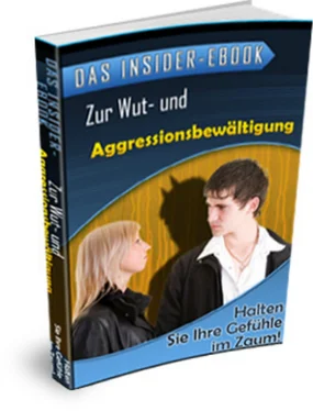 I. Vemaro Das Insider-ebook - Zur Wut- und Aggressionsbewältigung обложка книги