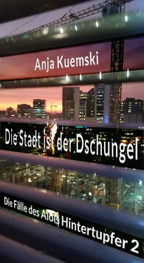 Anja Kwiatkowski Die Stadt ist der Dschungel обложка книги