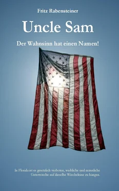 Fritz Rabensteiner Uncle Sam. Der Wahnsinn hat einen Namen! обложка книги