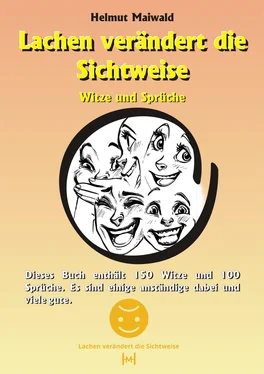 Helmut Maiwald Lachen veraendert die Sichtweise обложка книги